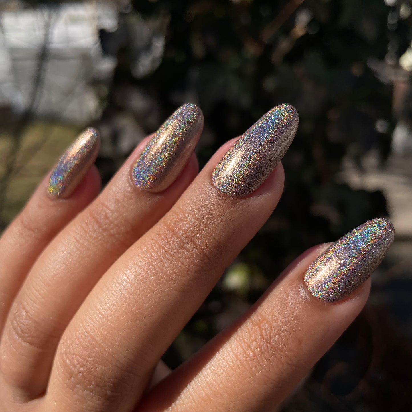 Brown Holo