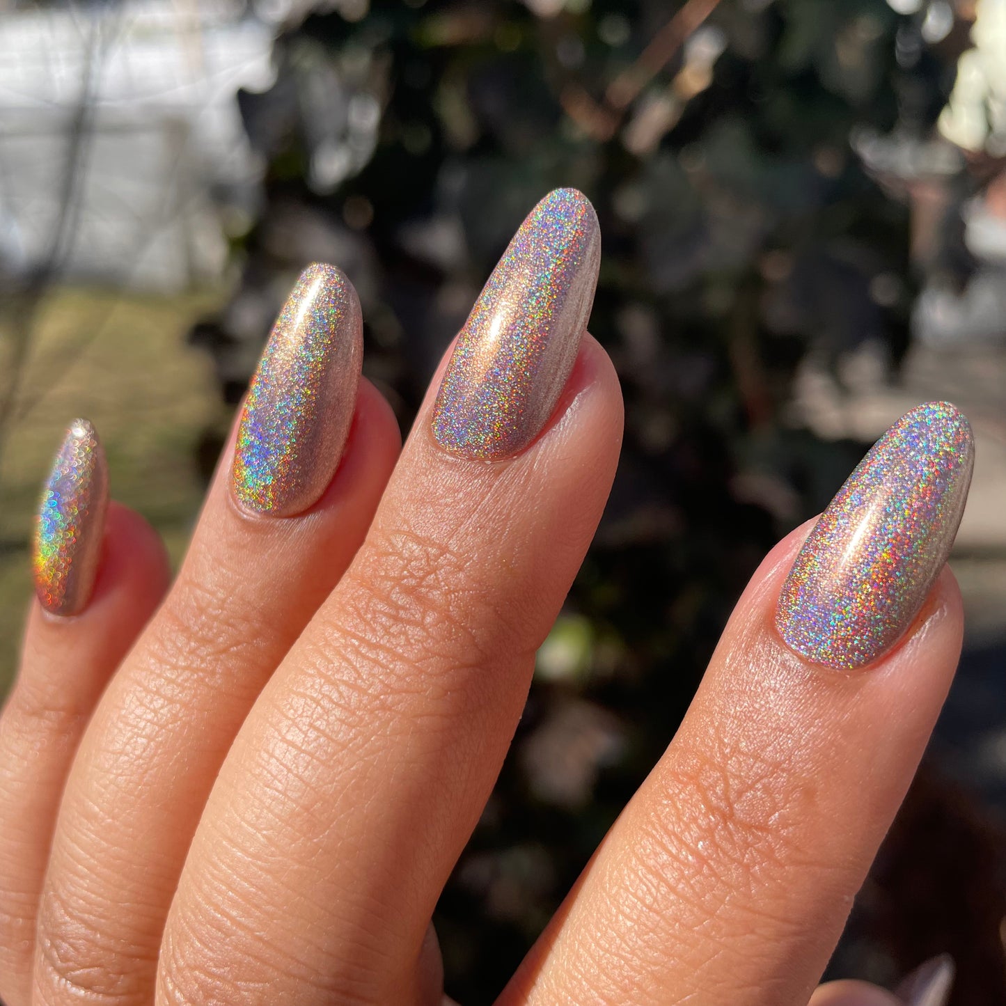 Brown Holo